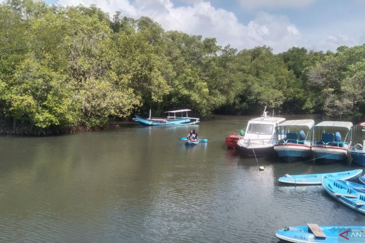 AIS Forum - RI Atasi Pencemaran Laut, Lindungi Ekosistem Mangrove